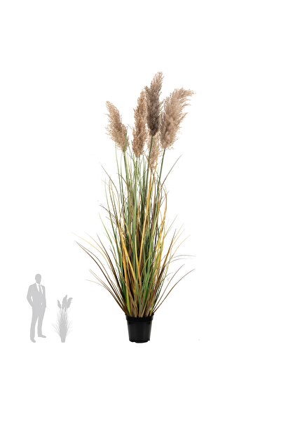 Roberto Rossi Iarba artificiala Onion 120 cm cu 5 flori naturale de pampas be...