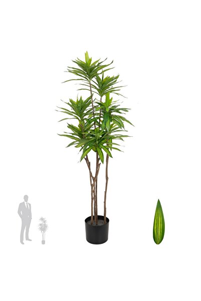 Roberto Rossi Dracaena artificiala H100cm fragrans cu frunze verzi