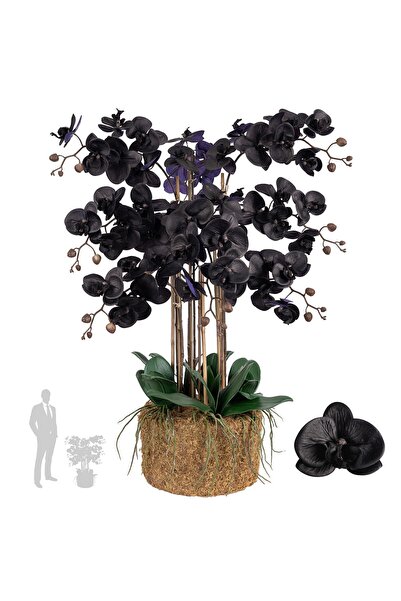 Roberto Rossi Orhidee artificiala neagra cu aspect H95 cm cu 9 tulpini cu fru...