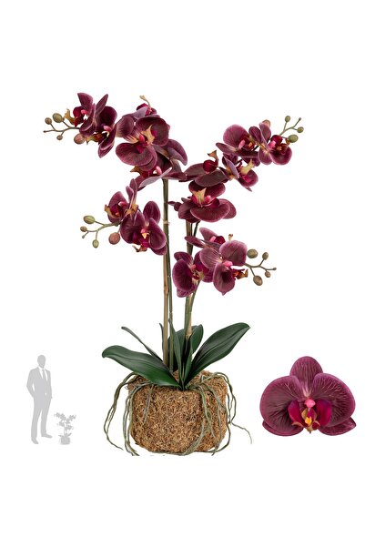 Roberto Rossi Orhidee artificiala grena cu aspect H59 cm cu 3 tulpini