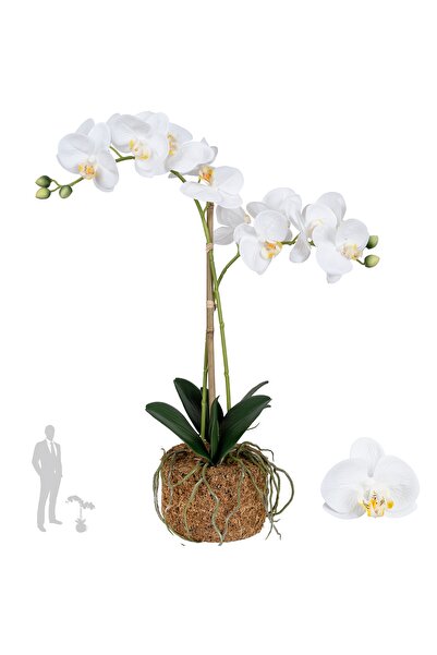 Roberto Rossi Orhidee artificiala alba cu aspect H56 cm cu 2 tulpini
