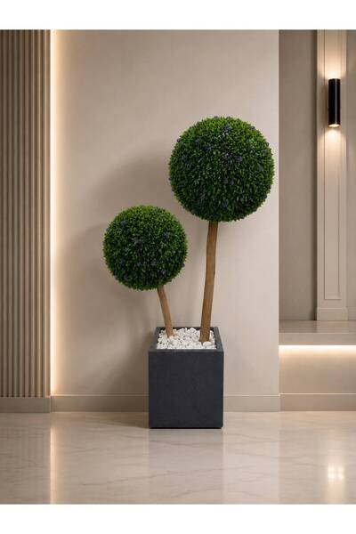 KABULHOUSE شجر حوض سراميك كورة لافندر