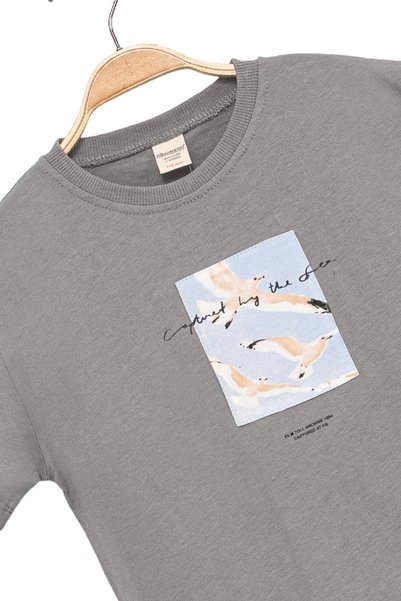 Divonette Boy's Basic Short Sleeve 100% Cotton Comfortable Gray T-Shirt with Seagull Appliqué Embroidery Detail