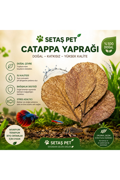 SETAŞ Akvaryum Catappa Yaprağı 13-15 cm (5 Adet) - Doğal Su Düzenleyici