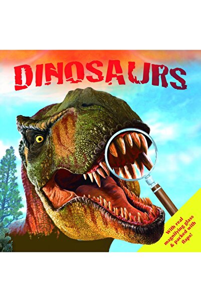 Igloo Books Dinosaurs 8042