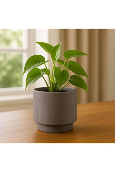 Generic Elegant ceramic plant pot – perfect for gifting and decoration
