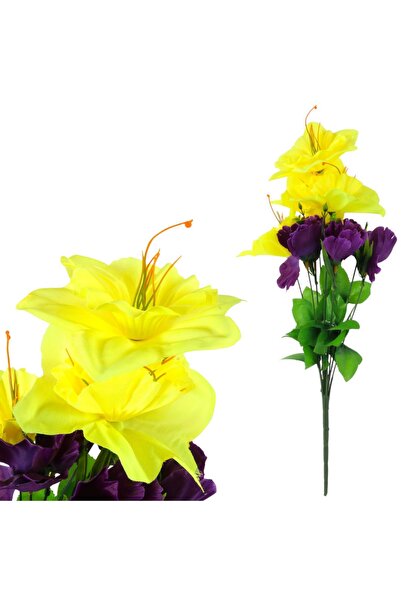 Goliat Buchet 10 Lalele cu Iris 52 cm