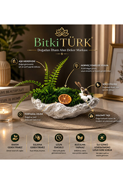 BitkiTÜRK 🌿✨ Aşk Merdivenli Stabilize Yosun Dekoru | Serçe Figürlü Premium M...