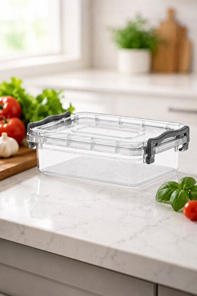 DolphFin Midi Box Storage Container 2.2 L Plastic Kitchen Organizer with Lid