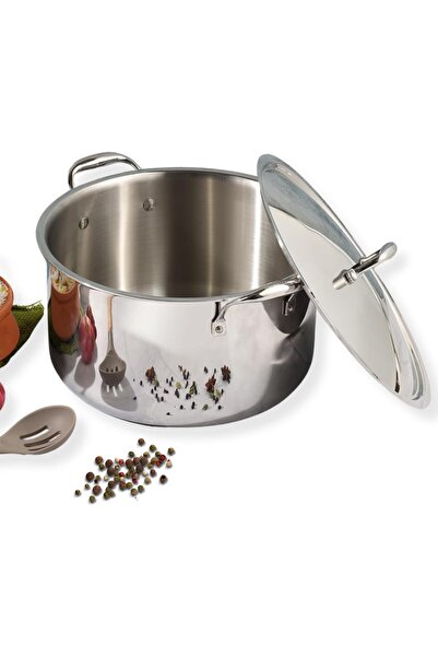 Vinod Stainless Steel Cooking Pot with Lid, Heavy Base, Riveted Handles, Indu...