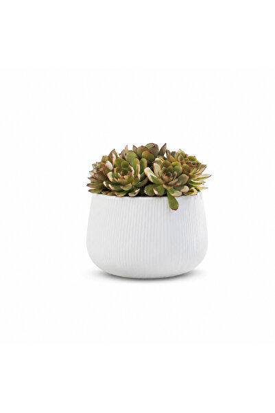 Green Garden Green's Premium White Fiber Cement Basin (Single Piece, Small Only)