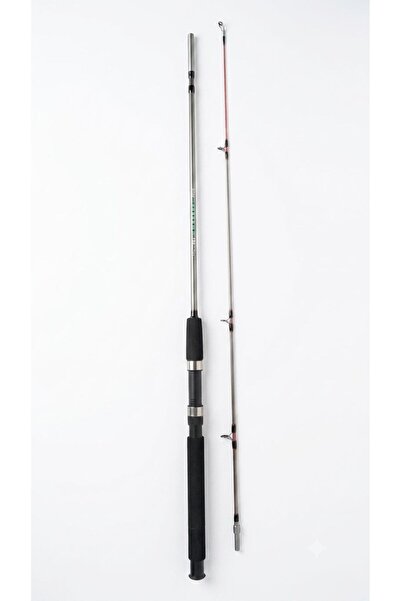 Ayaz Tekne Kamışı 100-250g
