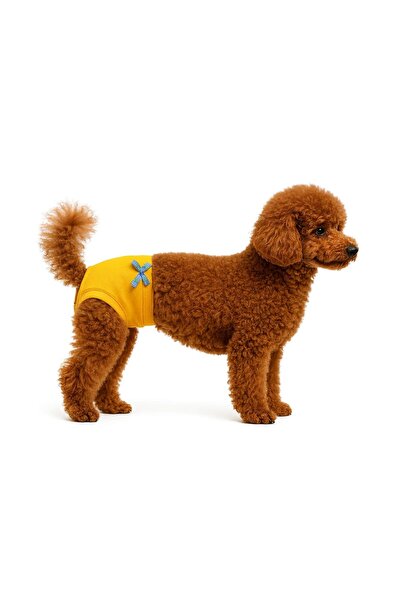 Buddy Store Evcil Hayvanlar için Regl Külotları