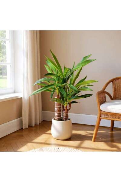 PAN HOME Dracaena Two Head Artificial Tree H74cm - Green