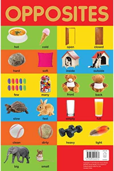 Prakash Books لوحة الأنظمة المتناقضة - لوحة تعليمية للأطفال في مرحلة التعلم ا...