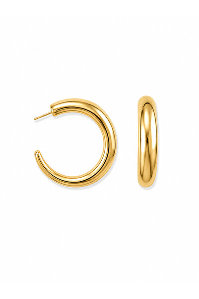 Venus Design Steel Hoop Earrings