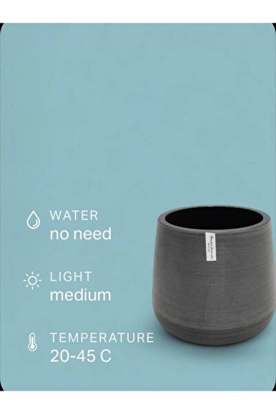 OEMS Middle gray plastic planting basin