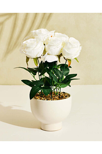 REDTAG White Artificial Rose in Ceramic Pot