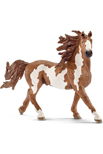 SCHLEICH Ζώα Άλογο Πίντο Αρσενικό (SCH13794)
