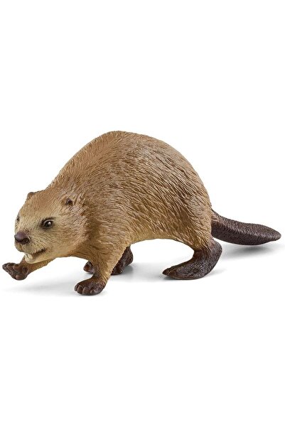 SCHLEICH Ζώα Κάστορας (SCH14855)