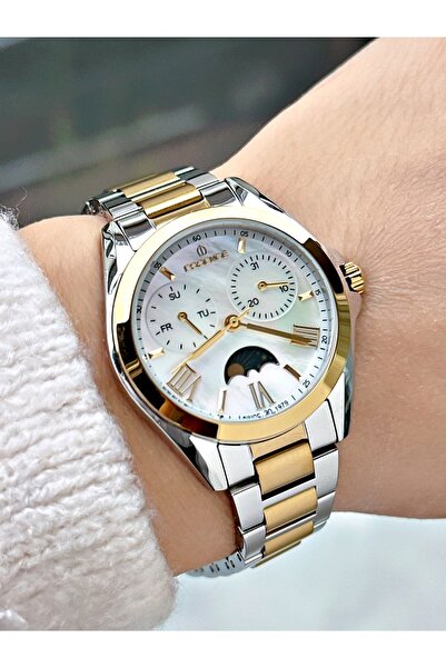 Essence Functional Steel Cord Silver-Gold Color Women Wrist Watch Es6910Mr