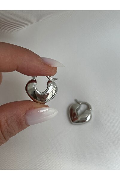 Twinssis Accessories Silver Color Domed Heart Earrings