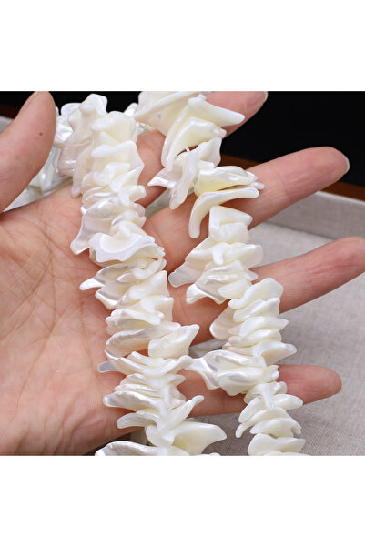 Choice 20-24mm A 20-24mm Irregularly Shaped Large Natural Freshwater Shell Se...