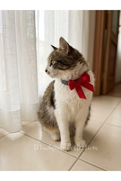 D'Kuhçien Cat Collar, Red Ribbon Detail, Cat Necklace, Dog Necklace, Cat Chai...
