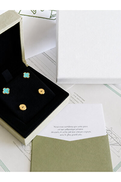 Glamour Galore Luxury Earring with Accessories