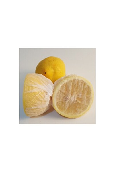 Empressco Fresh and Delicious 50 Pieces of Lemon Bones, Ideal for Practical Use