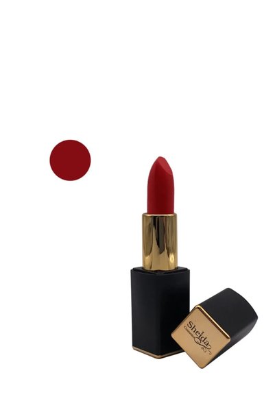 Sheida Lipstick No:41