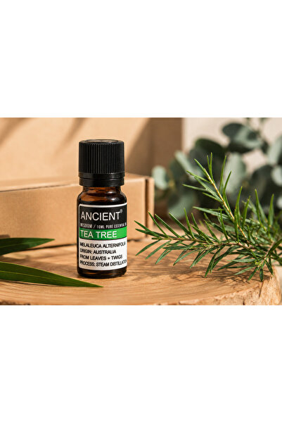 Ancient Wisdom s.r.o. Ulei Esențial Tea Tree (Arbore de Ceai) 10 ml – 100% Pur