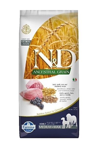 N&D Kuzu Etli Yaban Mersini Düşük Tahıllı 12 kg Yetişkin Köpek Maması Süper P...