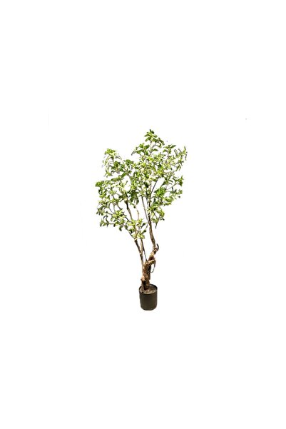 SUPERGREENS Τεχνητό Δέντρο Φίκος "Japonica" Πράσινο 175 εκ.