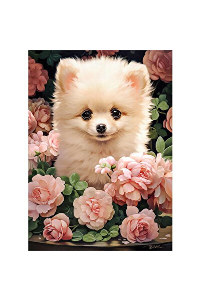 Castorland Puzzle 300 piese - Catelus cu trandafiri (B-030552)