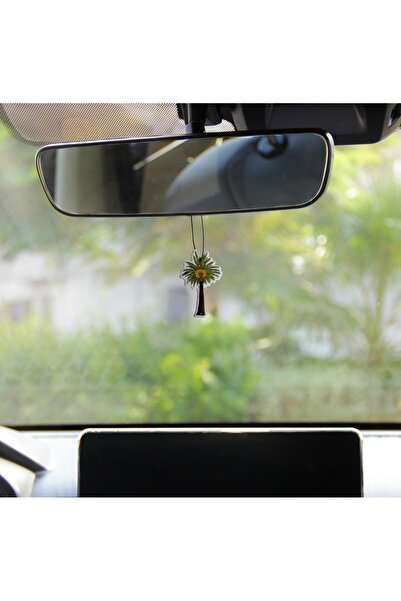 Dnnah Palm Tree Car Freshener