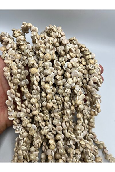 E.B EBRULİ BONCUK Natural Snail Sea Shell Natural Beads (1 String)