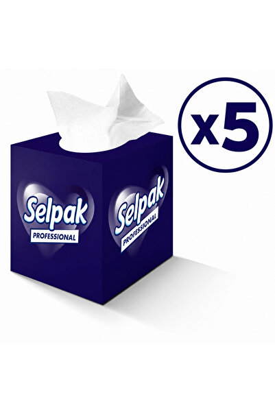 Professional Butik Kutu Mendil 48’li x 5 Paket