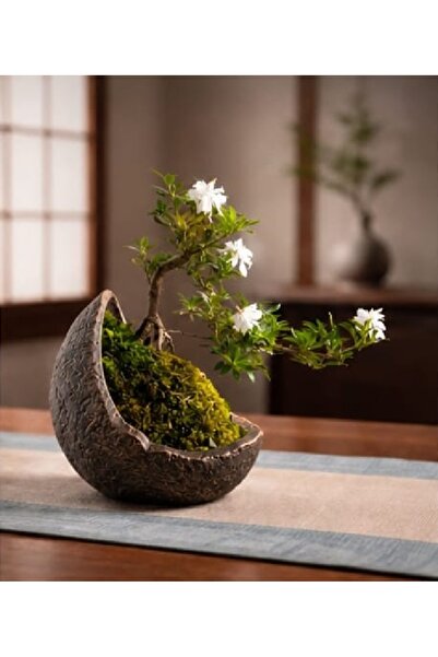 Yaratıcı sanatlar atölyesi Bonsai Saksısı Taş Dokulu Hilal Tasarım Saksı Vazo...