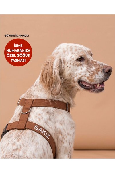 LUSİ-DOOG Güvenlik Amaçlı Numaralı İsimli Köpek Göğüs Tasması Kişiye Özel Göğ...