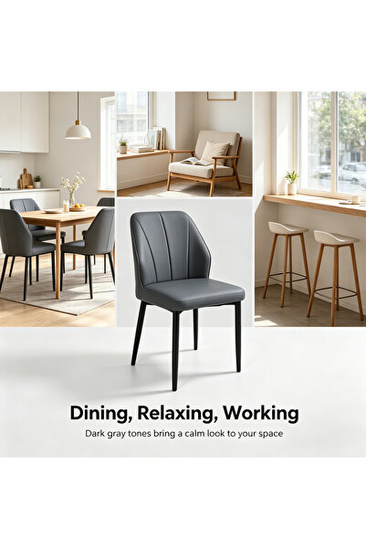 HayaBazaar Modern Dining Chair,High Back with Soft Seat,for Kitchen, Dining R...