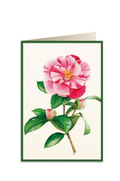 Tassotti Felicitare B6, Tassotti, Carton, Multicolor