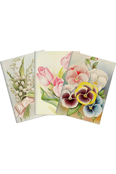 Skona Ting Set 3 caiete A6 multicolor liniate model bratki