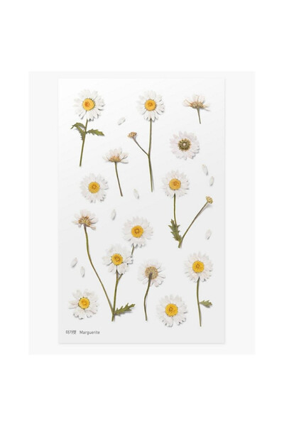 APPREE Stickere decorative Appree, flori margarete, multicolor, 15x9.4cm