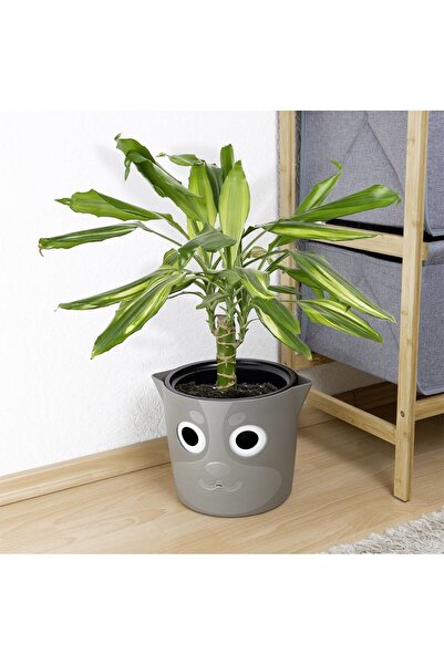 Maximex Ghiveci cu indicator de nivel al apei 18 cm
