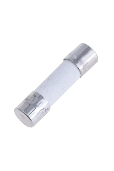 OEM ESKA F2A 250VAC fast blow fuse 5x20mm 520.520