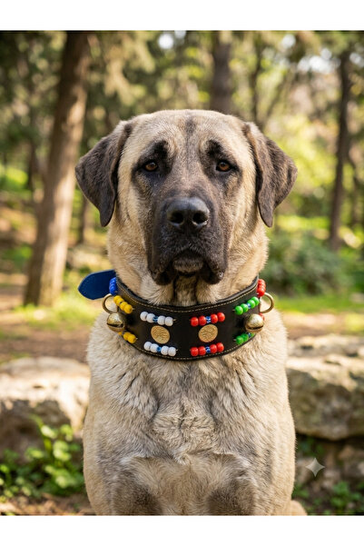YILPAX Hakiki Deri Boncuklu Süslü Zilli Büyük Irk Köpek Tasması 80x8 cm