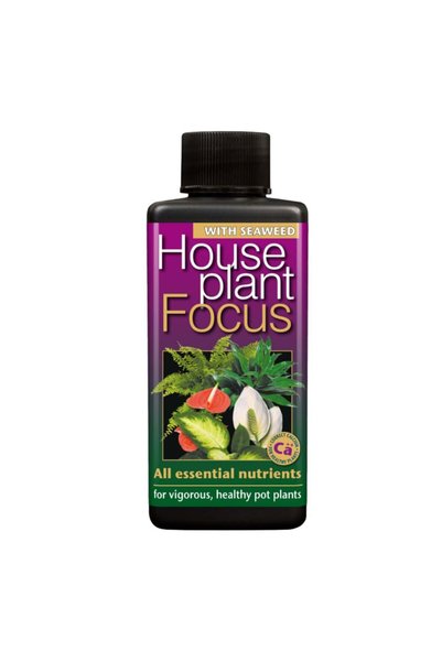 Growth Technology HousePlant Focus 1 Litre