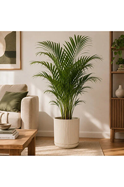 BiDünya Lotus Kendinden Tabaklı 10,5 Litre Saksı Dekoratif Plastik Çiçek Saksısı