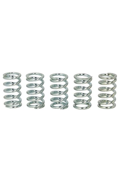 TRW Set Arcuri Ambreiaj (ranforsat) Kawasaki Er Gpz Kle W Z 500/650/1000 1979...